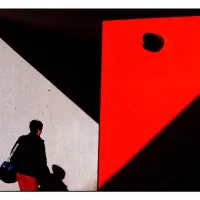 Volné sdružení fotografů